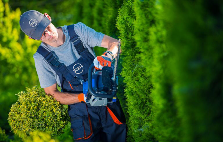 SSH Hedge Trim